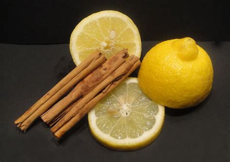 Spruce Up Your Drinks with a Touch of Citrus Magic: Lemon Edition